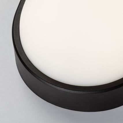 Rabalux - LED Āra sienas gaismeklis LED/14W/230V IP54 melns