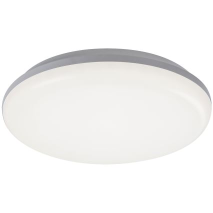 Rabalux - Āra LED griestu gaismeklis LED/24W/230V IP64