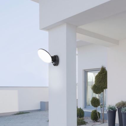 Rabalux - LED Āra sienas lampa ar sensoru LED/12W/230V IP54