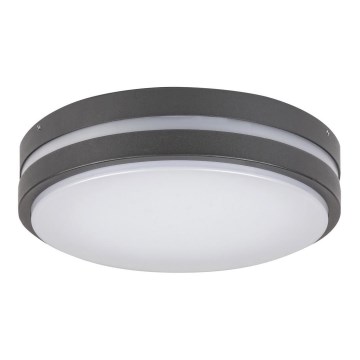 Rabalux 8848 - Āra LED sienas gaismeklis HAMBURG LED/12W/230V IP44