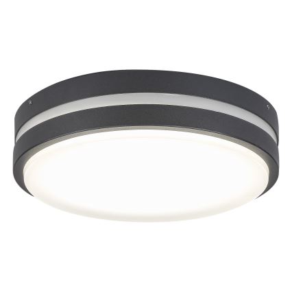 Rabalux 8848 - Āra LED sienas gaismeklis HAMBURG LED/12W/230V IP44