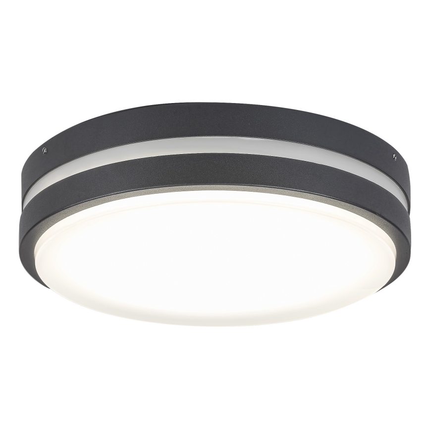 Rabalux 8848 - Āra LED sienas gaismeklis HAMBURG LED/12W/230V IP44