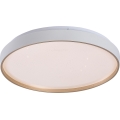Rabalux - Aptumšojama LED griestu lampa LED/34W/230V 3000-6500K Ø 38 cm + tālvadības pults