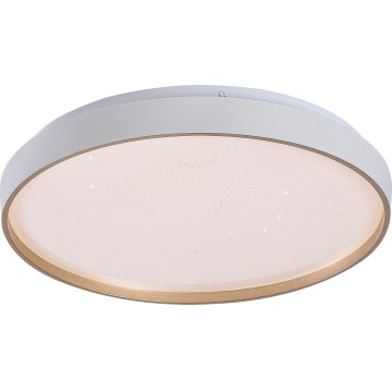 Rabalux - Aptumšojama LED griestu lampa LED/34W/230V 3000-6500K Ø 38 cm + tālvadības pults