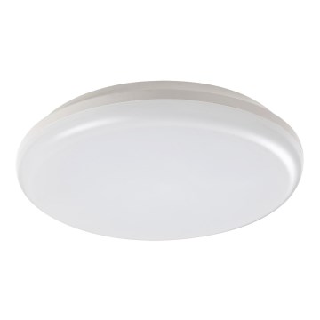 Rabalux - Āra LED griestu gaismeklis LED/24W/230V IP64