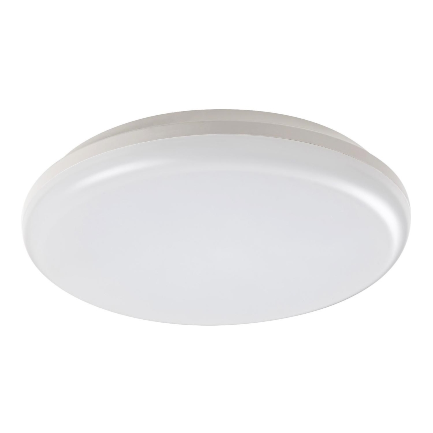 Rabalux - Āra LED griestu gaismeklis LED/24W/230V IP64