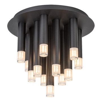 Rabalux - Griestu lampa 13xG9/5W/230V melna