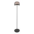 Rabalux - LED Aptumšojama grīdas stāvlampa LED/20W/230V 3000/4000/6000K