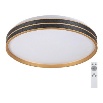 Rabalux - LED Aptumšojama griestu lampa LED/24W/230V 3000-6500K + tālvadības pults