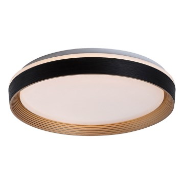 Rabalux - LED Aptumšojama griestu lampa LED/48W/230V 3000-6500K + tālvadības pults