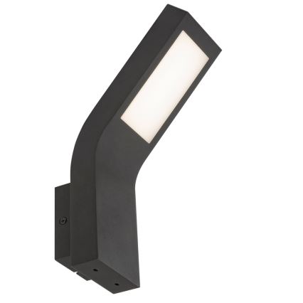 Rabalux - LED Āra sienas gaismeklis LED/9W/230V IP44
