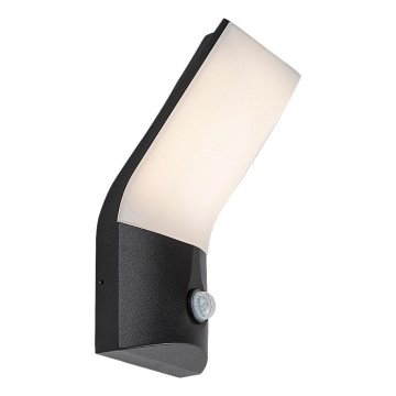 Rabalux - LED Āra sienas lampa ar sensoru LED/10W/230V IP54