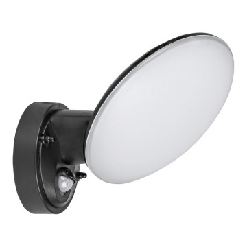 Rabalux - LED Āra sienas lampa ar sensoru LED/12W/230V IP54