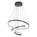 Rabalux - LED dimējama lustra uz kabeļa LED/90W/230V 3000-6500K + tālvadība