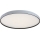 Rabalux - LED dimējams griestu gaismeklis LED/80W/230V 3000–6500K Ø77 cm + tālvadība