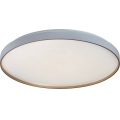 Rabalux - LED dimmējama griestu lampa LED/60W/230V 3000-6500K Ø 58 cm + tālvadības pults