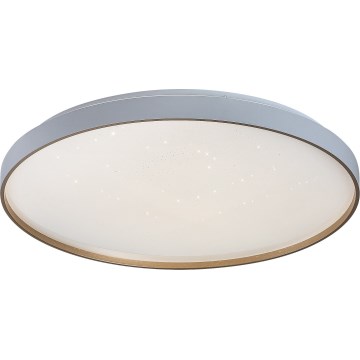 Rabalux - LED dimmējama griestu lampa LED/60W/230V 3000-6500K Ø 58 cm + tālvadības pults