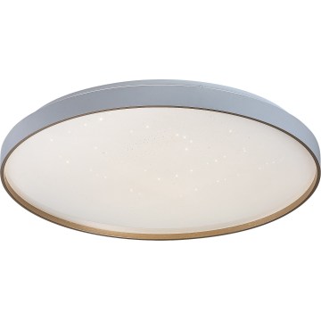 Rabalux - LED dimmējama griestu lampa LED/80W/230V 3000–6500K Ø 77 cm ar tālvadības pulti