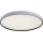 Rabalux - LED griestu gaismeklis ar regulējamu spilgtumu LED/60W/230V 3000-6500K Ø 58 cm + tālvadība