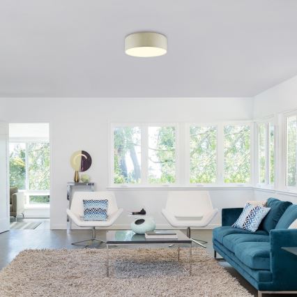 Rabalux - LED griestu gaismeklis LED/22W/230V krēmkrāsas diametrs 40 cm