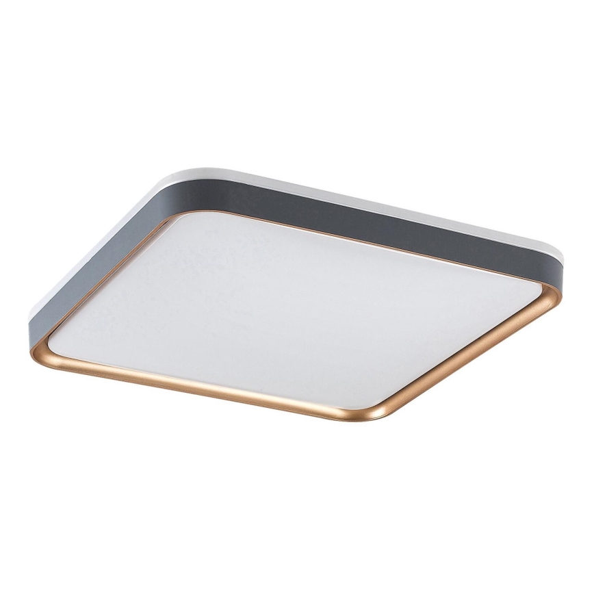 Rabalux - LED griestu gaismeklis LED/26W/230V 3000K 39,5x39,5 cm