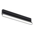 Rabalux - LED Griestu lampa 1-fāzes sliežu sistēmai LED/16W/230V 4000K 33 cm melna