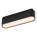 Rabalux - LED Griestu lampa 1-fāzes sliežu sistēmai LED/6W/230V 3000K 11,5 cm melna
