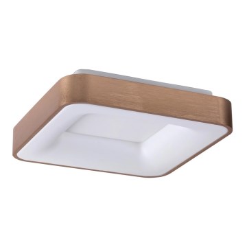 Rabalux - LED Griestu lampa CARMELA LED/30W/230V 40x40 cm