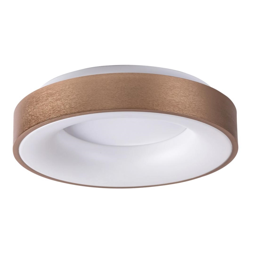 Rabalux - LED Griestu lampa CARMELA LED/50W/230V