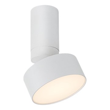 Rabalux - LED Griestu lampa LED/10W/230V 3000K balta