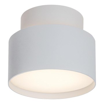 Rabalux - LED Griestu lampa LED/16W/230V 3000K balta
