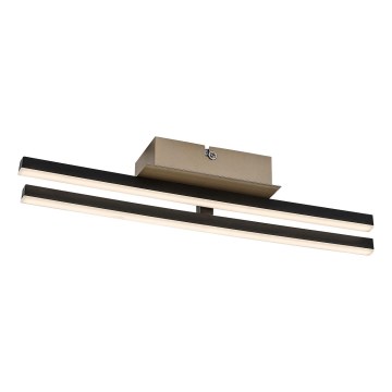 Rabalux - LED griestu lampa LED/16W/230V 4000K 13x41 cm