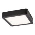 Rabalux - LED Griestu lampa LED/17W/230V 17x17 cm