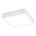 Rabalux - LED Griestu lampa LED/18W/230V 17x17 cm