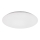 Rabalux - LED Griestu lampa LED/18W/230V 4000K 28 cm