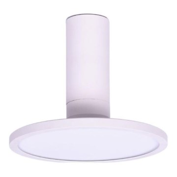 Rabalux - LED Griestu lampa LED/20W/230V 3000K balta