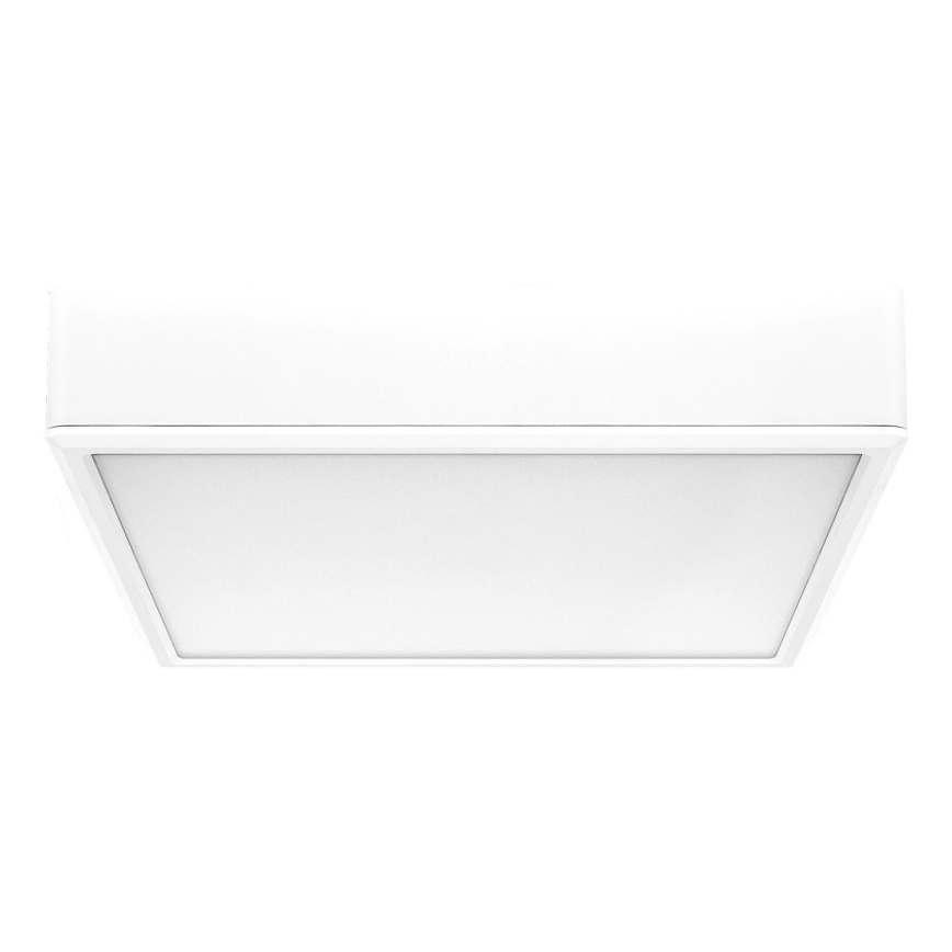 Rabalux - LED Griestu lampa LED/22W/230V 3000/4000/6000K 21x21 cm balta