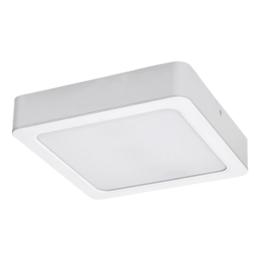 Rabalux - LED Griestu lampa LED/24W/230V 3000K 22x22 cm balta