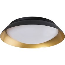 Rabalux - LED Griestu lampa LED/24W/230V 3000K d. 40 cm