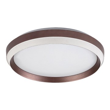 Rabalux - LED Griestu lampa LED/24W/230V 3000K