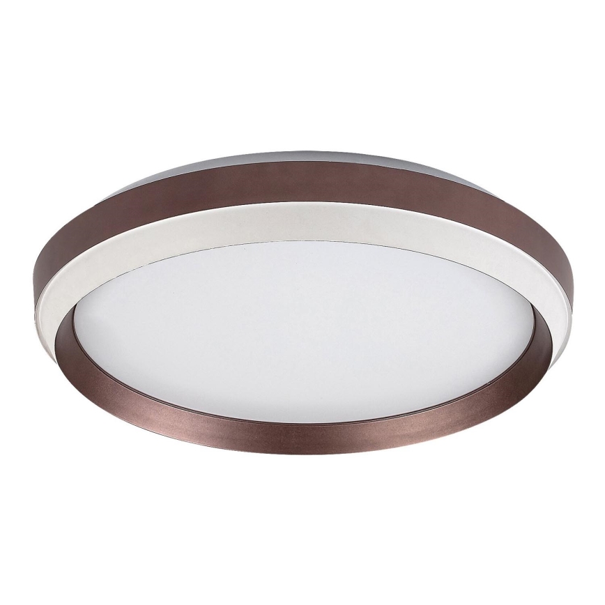 Rabalux - LED Griestu lampa LED/24W/230V 3000K