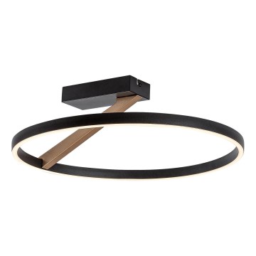 Rabalux - LED griestu lampa LED/24W/230V 3000K Ø 45 cm