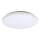 Rabalux - LED Griestu lampa LED/32W/230V