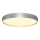 Rabalux - LED Griestu lampa LED/37W/230V
