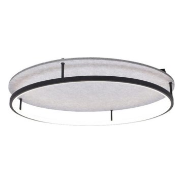 Rabalux - LED Griestu lampa LED/40W/230V 3000/4000K