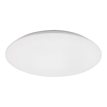 Rabalux - LED Griestu lampa LED/45W/230V 4000K 48 cm