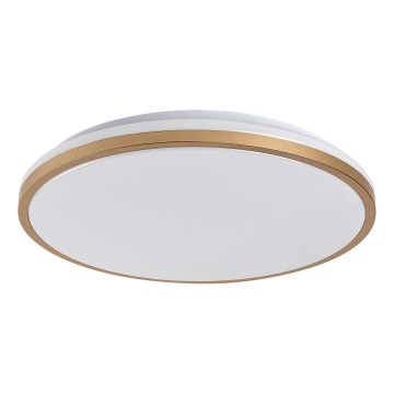 Rabalux - LED griestu lampa vannas istabai LED/18W/230V IP44 Ø 34 cm