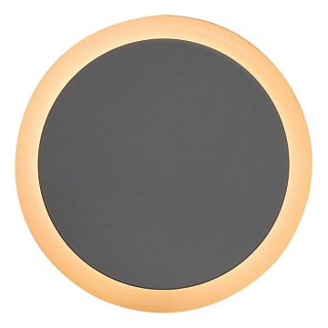Rabalux - LED Kontaktligzdas nakts lampa ar krēslas sensoru LED/0,3W/230V 3000K