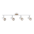 Rabalux - LED lampa 4xLED/4W/230V