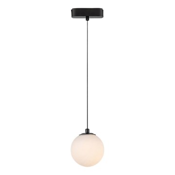 Rabalux - LED Lustra ar auklu 1 fāzes sliežu sistēmai LED/5W/230V 3000K melna